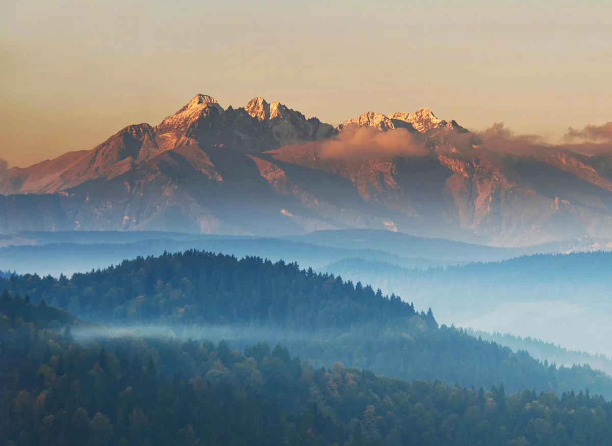 9 Największych Błędów Na Drodze Aby Stosować naturalne kosmetyki, Które Szybko Zniszczą Twój Plan.