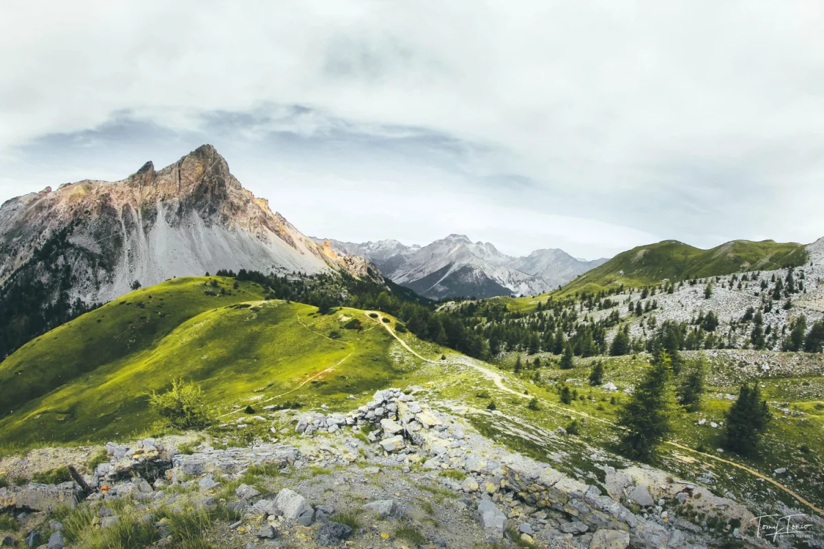 Czy ktoś wie jak zlecić outsourcing środowiskowy?