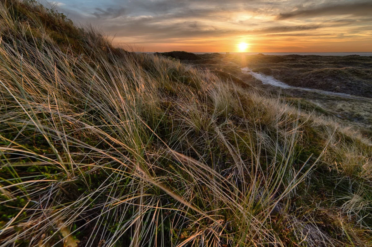 Czy opłaca się zamontować klimatyzację w Warszawie?