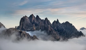 Oprogramowanie dla firm