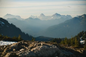 Jak złożyć sprawozdanie BDO z przyjemnością?